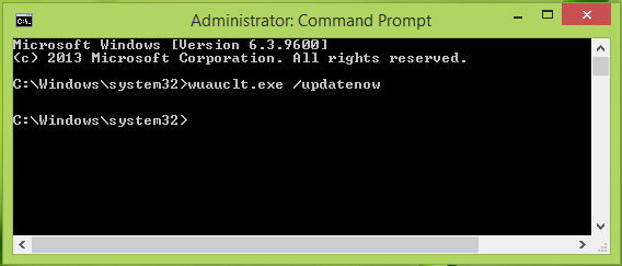  wuauclt.exe /updatenow