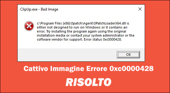Errore immagine errata 0xc0000428