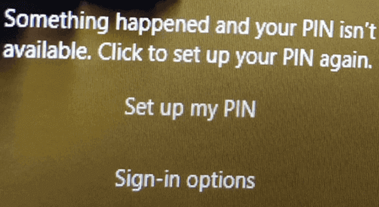 È successo qualcosa e il tuo PIN non è disponibile Windows 11